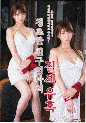 繁花剧集信息图
